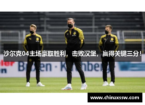 沙尔克04主场豪取胜利，击败汉堡，赢得关键三分！